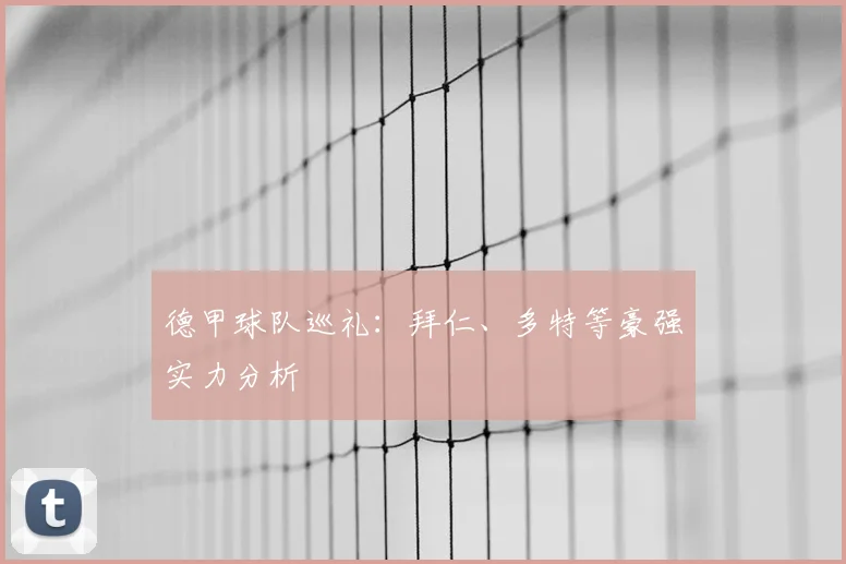 德甲球队巡礼:拜仁、多特等豪强实力分析